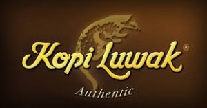 kopi luwak authentic